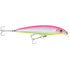 Rapala SXR10EC X-Rap 4" Saltwater Electric Chicken Lure Image 1