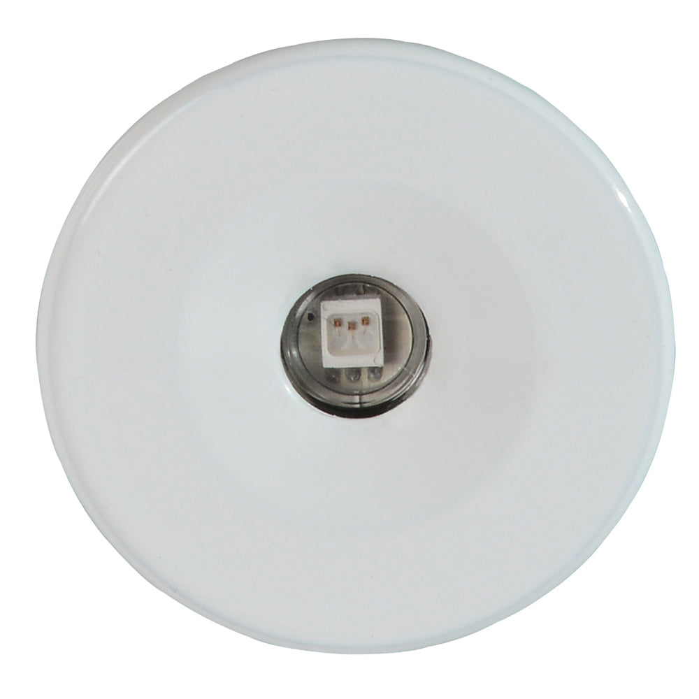 ECHO FLUSH MOUNT COURTESY/ACCENT LIGHT (LUMITEC)