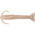 Berkley 1115913 Gulp! Saltwater Shrimp 4" Pearl White Image 1