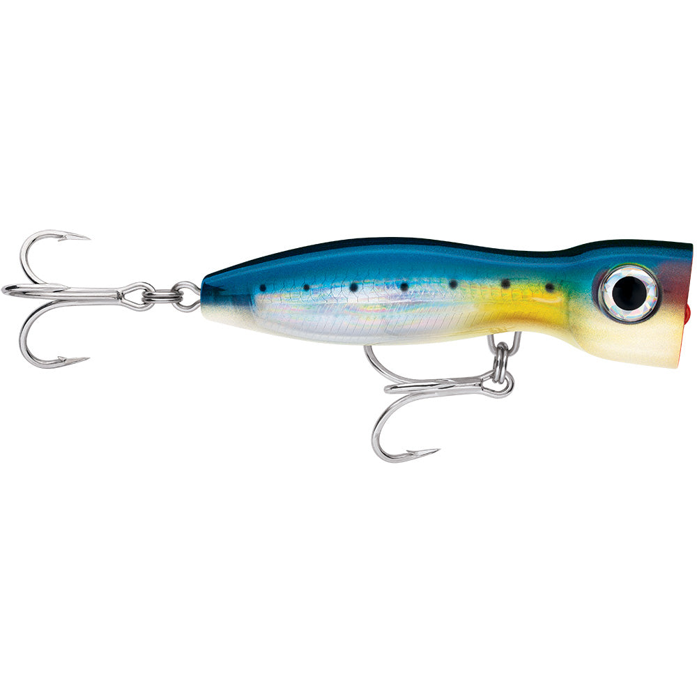 Rapala Xrmagxp170Bsrd X-Rap Magnum Xplode 170 Blue Sardine Image 1